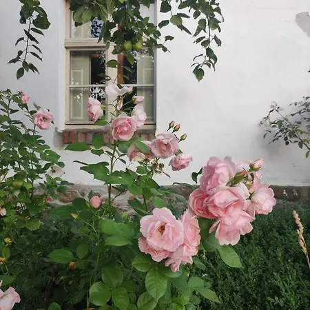 Schwalbennest Apartment