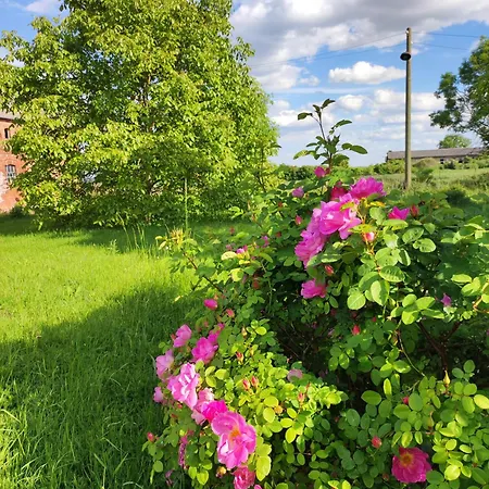 Schwalbennest *